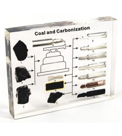 Model - Karbonizace uhlí