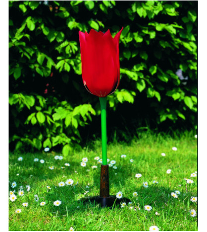 Model - Květ tulipánu