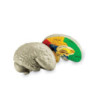 Mozek - pěnový model