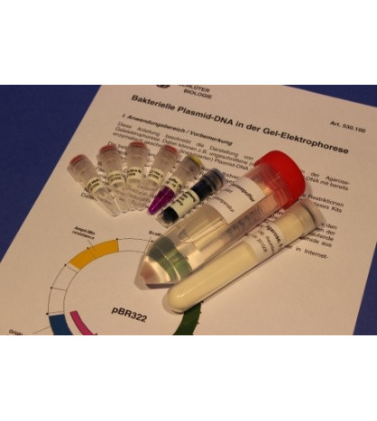 Sada Plazmidová DNA - příslušenství pro studentskou soupravu TESS Genetika
