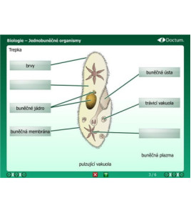 iDoctum - Interaktivní vyučovací balíček - Biologie - Svět zvířat