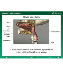 iDoctum - Interaktivní vyučovací software Biologie - Lidské tělo CZ