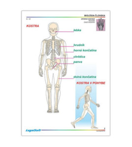 BIOLOGIE ČLOVĚKA 1 - pro 7. ročník ZŠ - karton