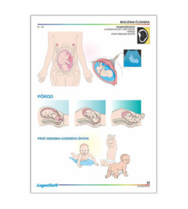 BIOLOGIE ČLOVĚKA 2 - pro 7. ročník ZŠ - karton