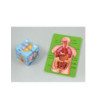 Člověk v kostce (puzzle set)