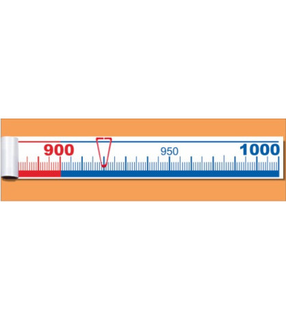 Číselná osa do 1000, 5m
