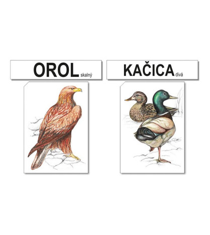 Ptáci SJ