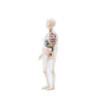 Anatomie člověka - model těhotné ženy