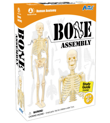 Do poslední kostičky