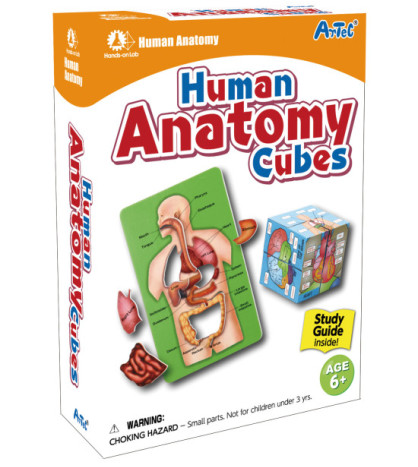 Člověk v kostce (puzzle set)