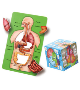 Člověk v kostce (puzzle set)