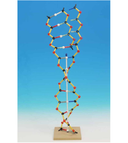 Stavebnice Orbit CW - Model DNA/RNA 12 bází.