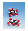 Biochemie - model monosacharidů (glukóza C6H12O6)