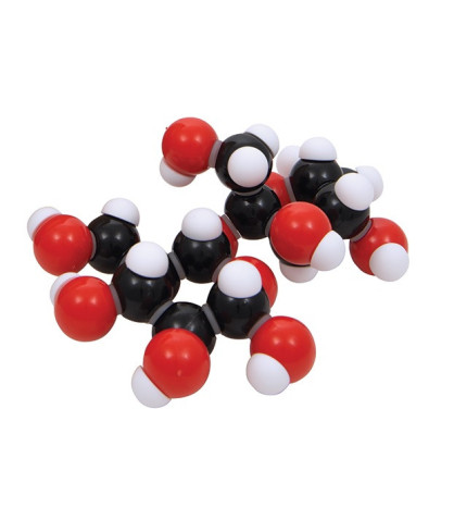 Biochemie - model disacharidů (sacharóza C12H22O11)