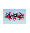 Biochemie - model polysacharidů (škrob C6H10O5)