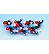 Biochemie - model bílkovin, alfa-šroubovka