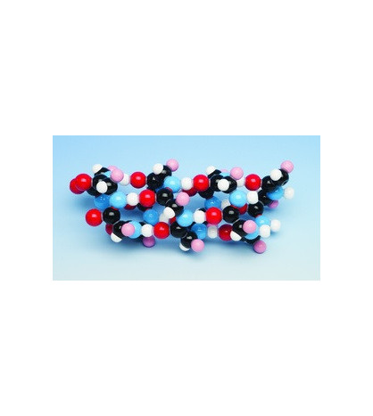Biochemie - model bílkovin, alfa-šroubovka