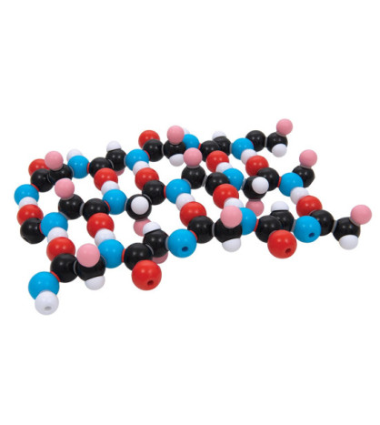 Biochemie - model bílkovin, beta-skládaný list