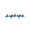 Biochemie - model bílkovin, polypeptidový řetězec