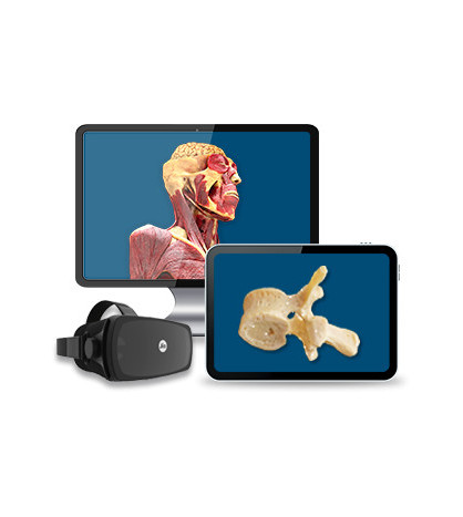 cadaVR PERSONAL