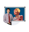 cadaVR PROFESSIONAL