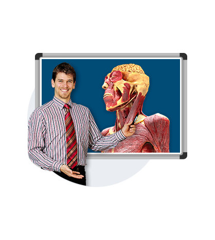 cadaVR PROFESSIONAL