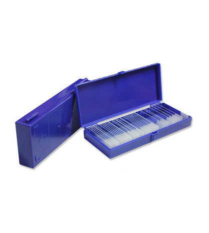 Plastový box pro 50 sklíček