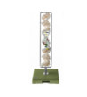 Model dvojzávitnice molekuly DNA (Typ B-DNA)