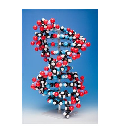 10-vrstvový model DNA