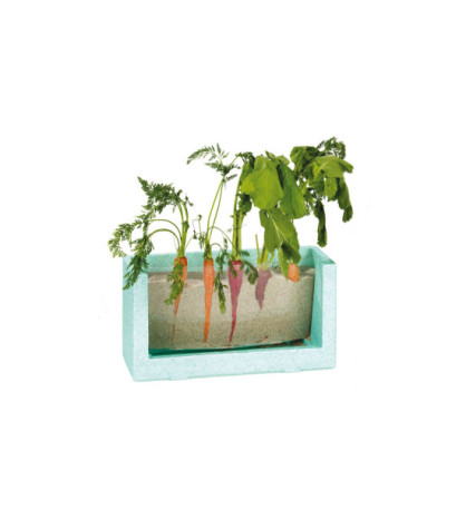 Pozorujte, jak rostou