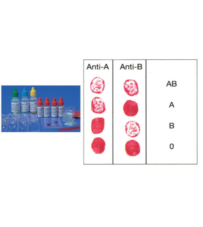 Experimentální sada - Krevní testy