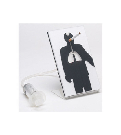 Model - Škodlivost kouření