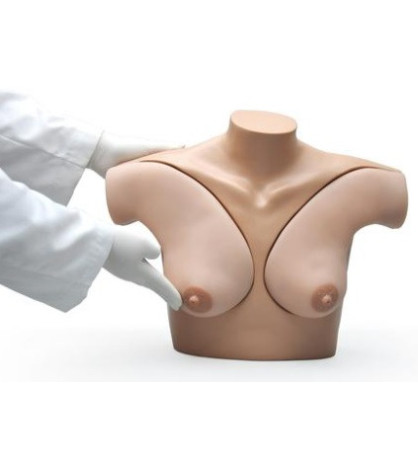 Cvičný model - simulátor samovyšetření prsou