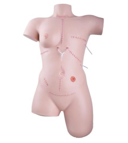 Cvičný model - simulátor pro ošetřování ran a obvazové techniky