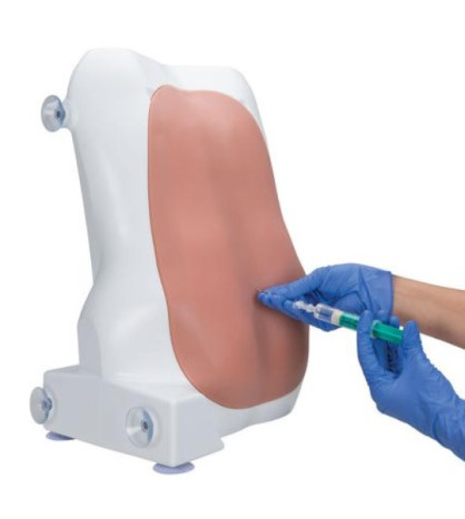 Cvičný model - Simulátor aplikace epidurální a spinální injekce