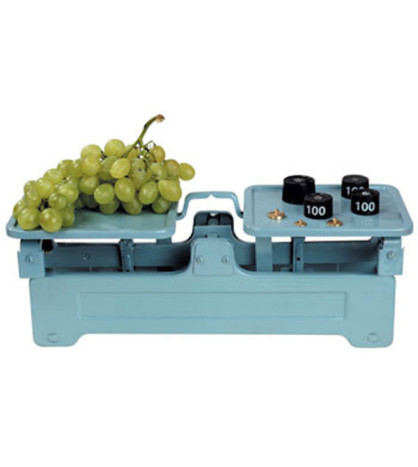 Kovová školní váha do 5kg