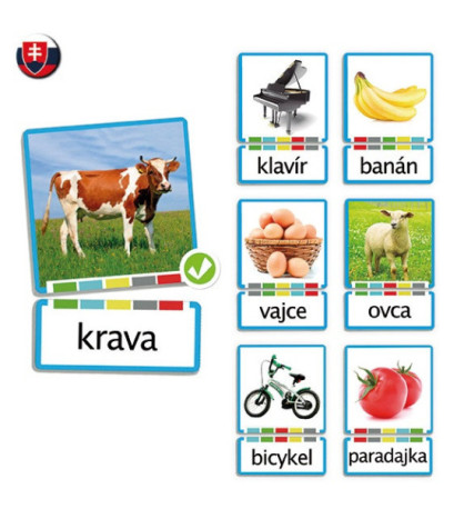 Samovzdělávací diktát podstatných jmen (fotografie) - SJ