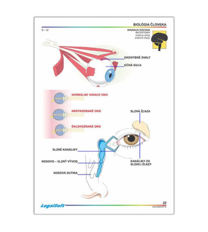 BIOLOGIE ČLOVĚKA 2 - pro 7. ročník ZŠ - karton