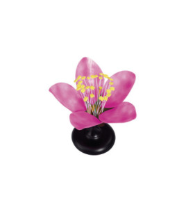 Model - kvet čerešne