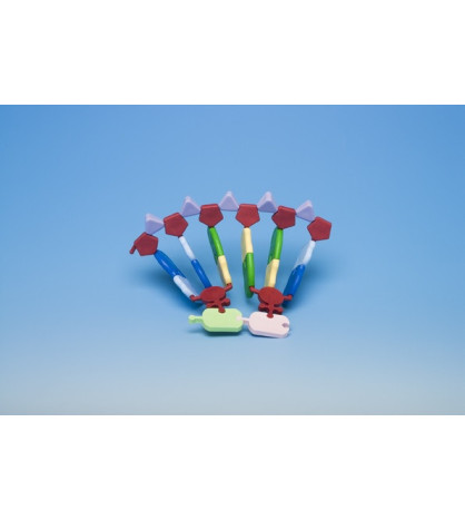 Model RNA syntéza proteinů 12 částí/bází