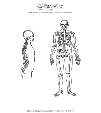 SADA 5 ks Smázačky Obecná Gramotnost: Lidské tělo (formát A4)