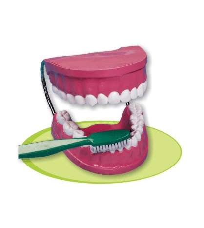 Myjme si zoubky správně