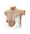 Cvičný model - simulátor samovyšetření prsou