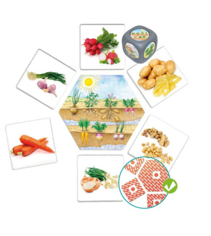 Každodenní potraviny (hra s fotografiemi)