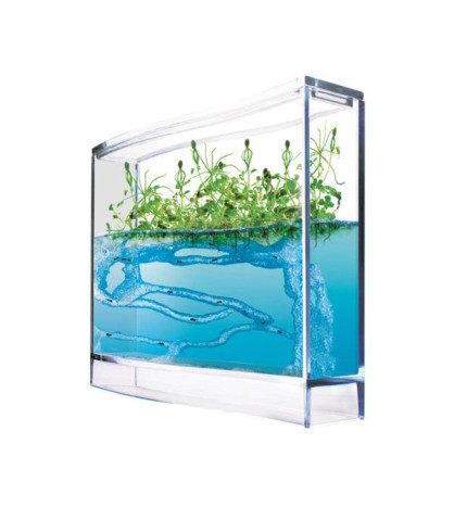 Ekosystém, SUPER Lesní mraveniště