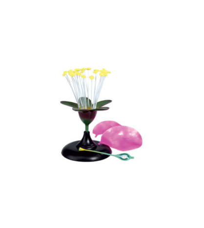 Model - kvet čerešne