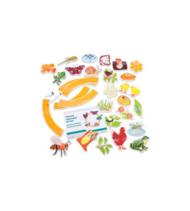 Životný cyklus živočíchov - magnetické obrázky