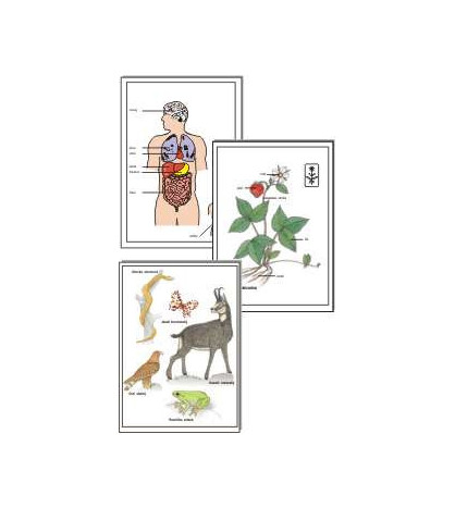 PŘÍRODOVĚDA pro 3. ročník ZŠ