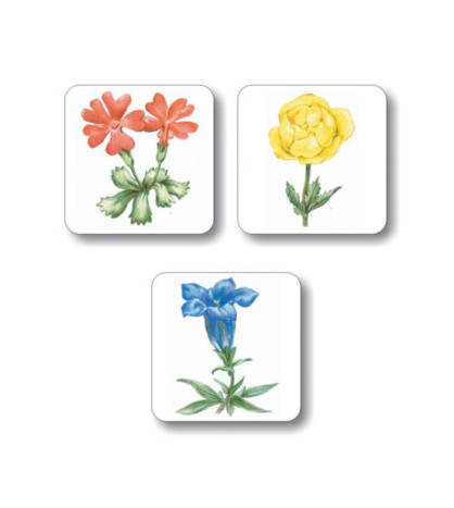 Chráněné rostliny