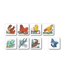 Vývoj - motýl, slepice, žába, tulipán